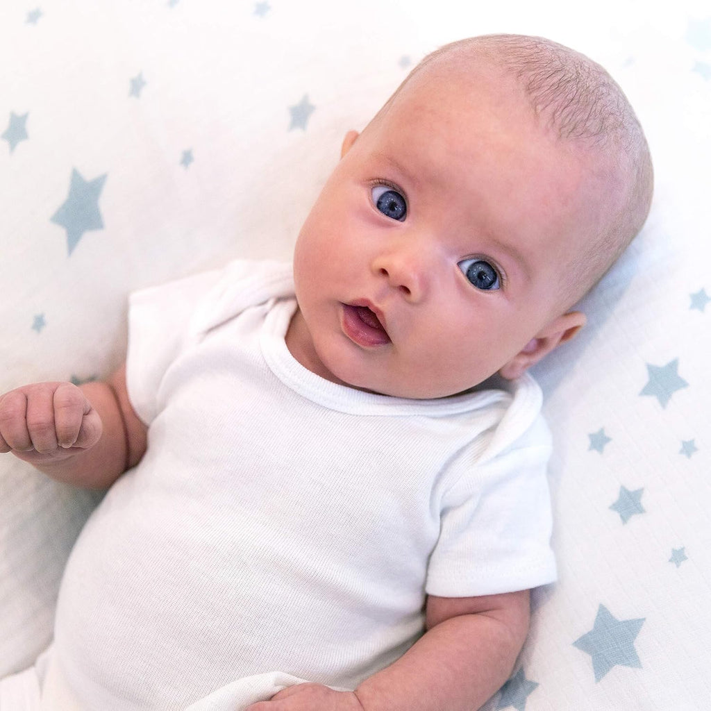 Tiny Sprouts Organic Cotton Crib Bedding Set